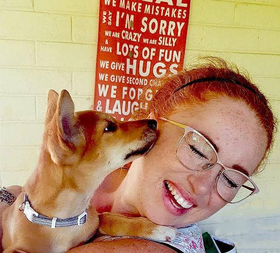 facts about dingoes cute