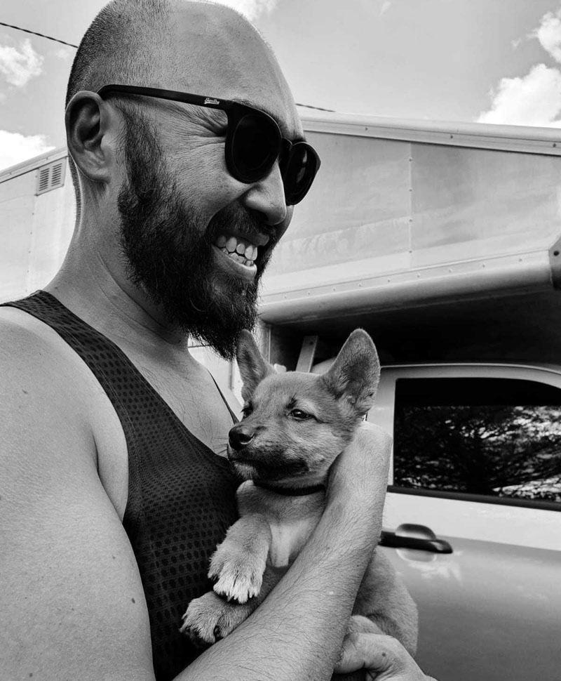 facts about dingoes sanctuary copper